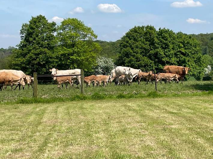 Chambre d’hôte pour 2 personnes, avec jacuzzi et jardin dans l' Aisne - 2