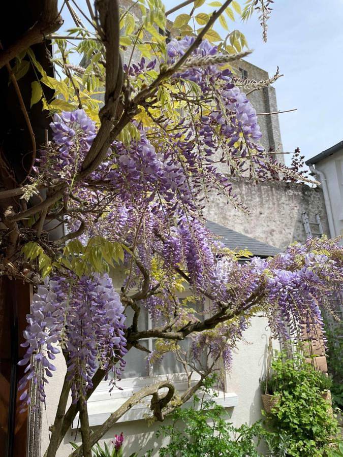 Hotel de la Sologne in Beaugency, Vallée de la Loire
