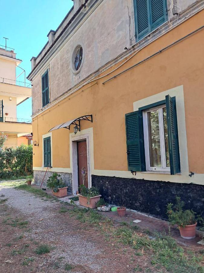 La gatta bianca in Marino, Castelli Romani
