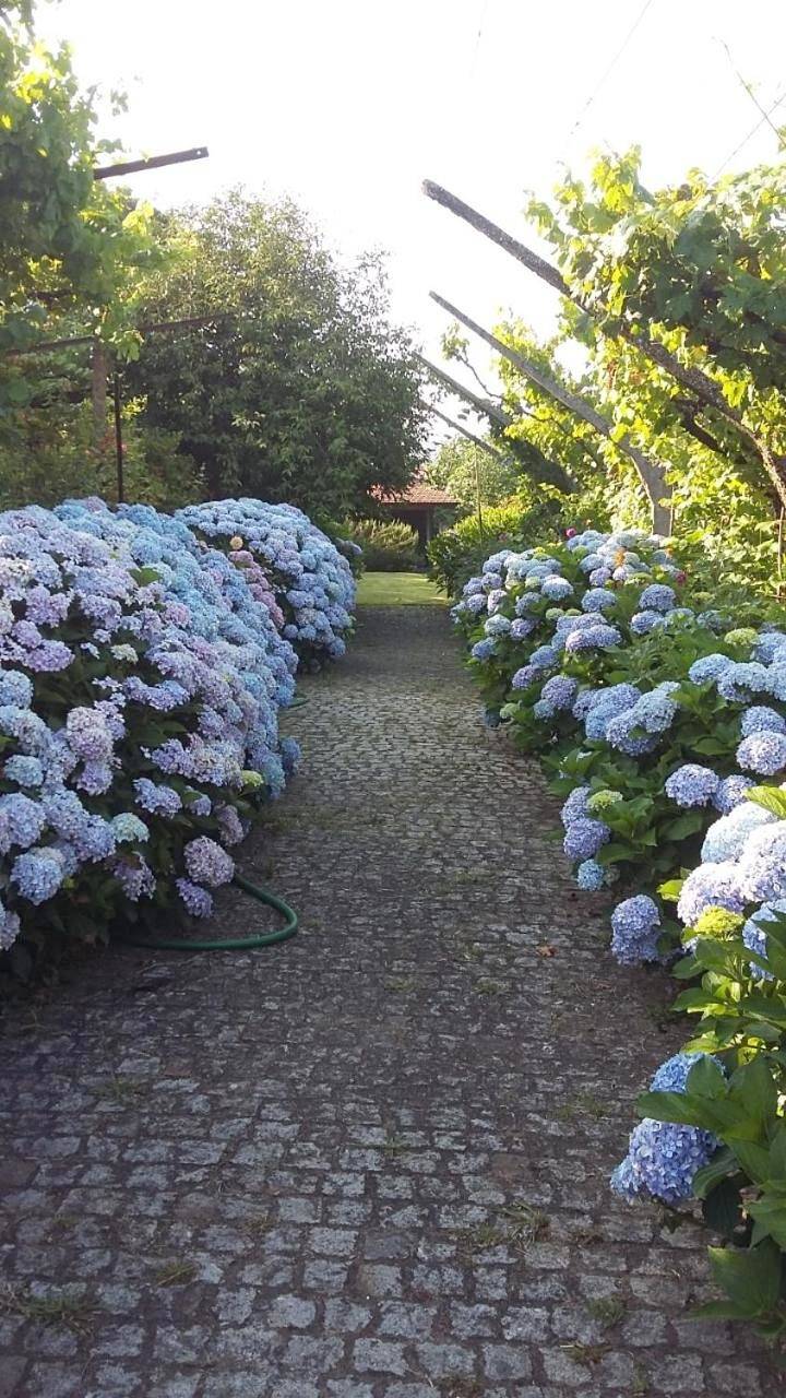 Quinta Drº Amarante in Melres, District de Porto