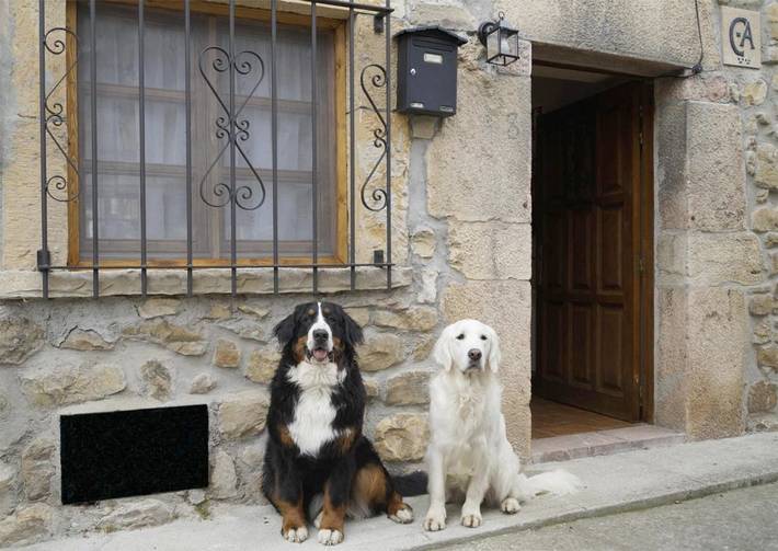 Location de vacances pour 8 personnes, avec vue et jardin, animaux acceptés dans Poo de Cabrales - 2