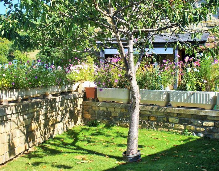 Location de vacances pour 5 personnes, avec jardin dans Aragon (Espagne) - 3