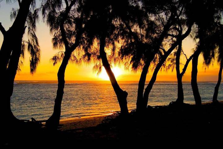 Gîte pour 4 personnes, avec terrasse et vue dans Plage de Saint-Leu - 2