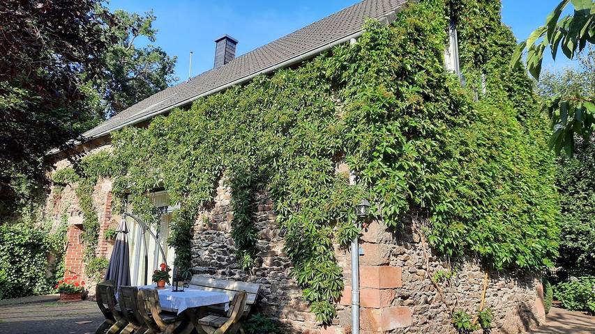 Ferienhaus für 10 Personen, mit Haustier in Wallscheid