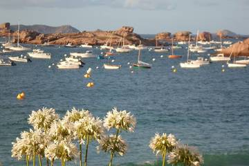 Gîte pour 3 personnes dans Plage de Grève Blanche