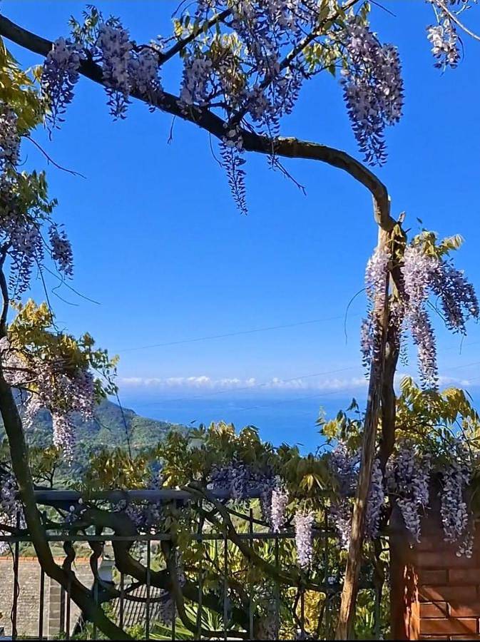 B&b per 2 persone, con giardino e terrazza in Moneglia