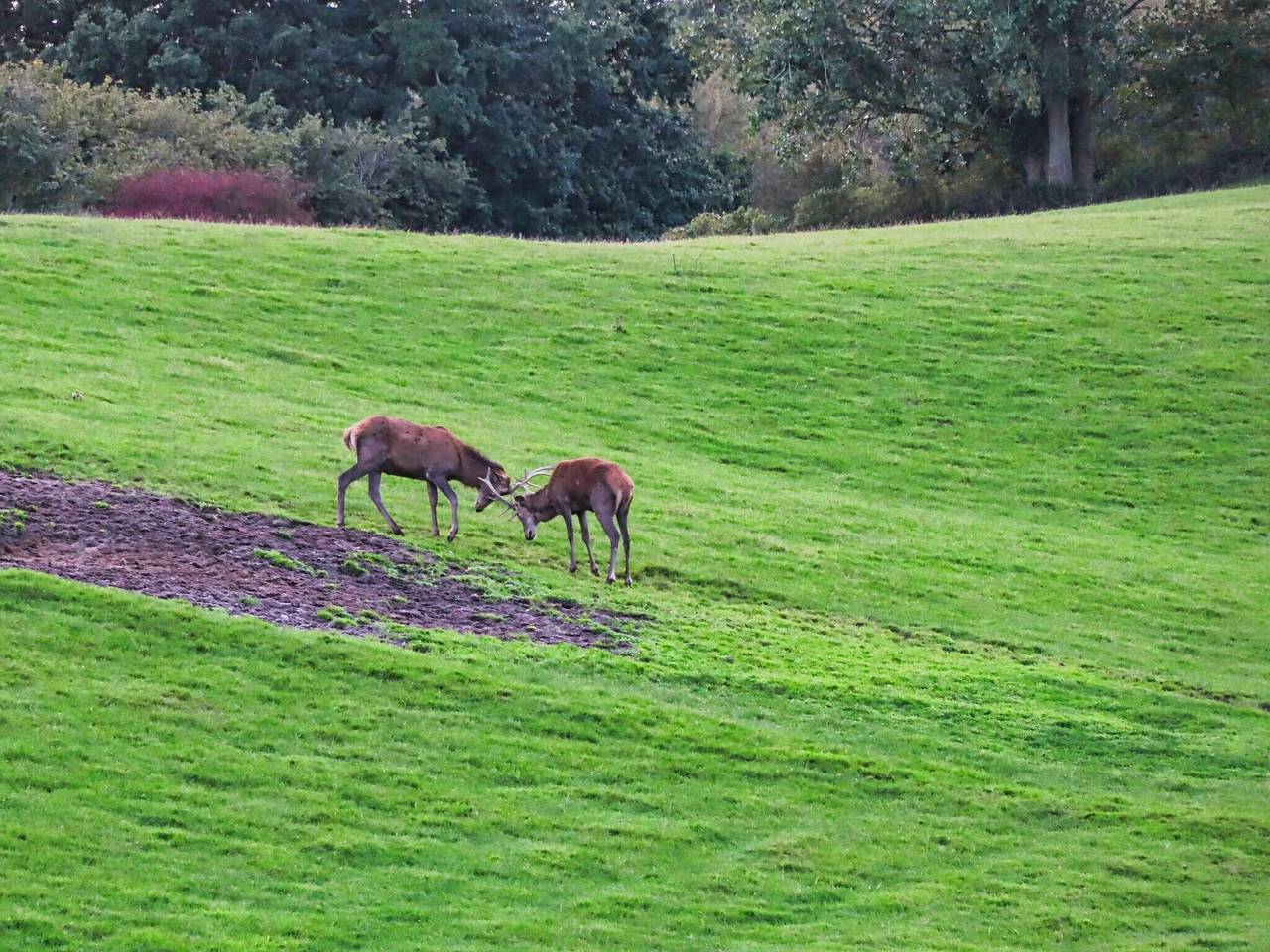 6 Personen Ferienhaus in Haderslev in Hadersleben, Kleiner Belt