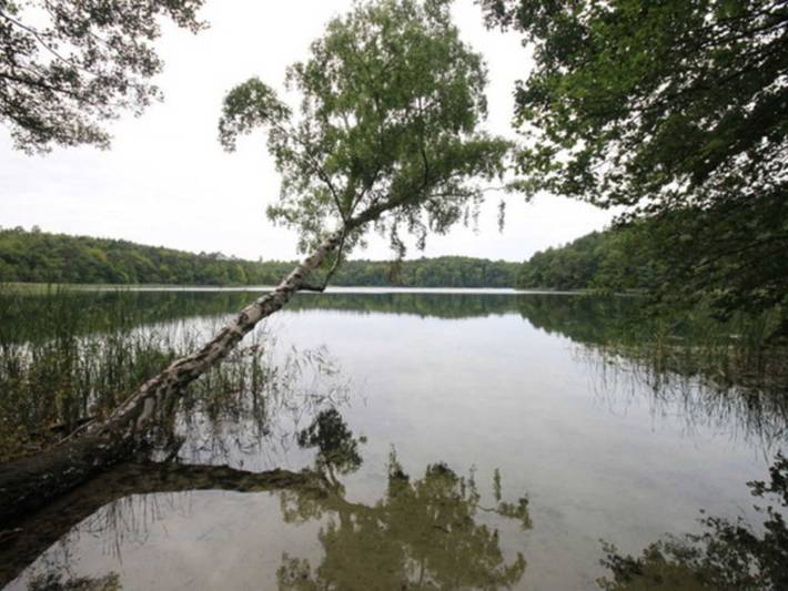 Ferienwohnung für 2 Personen, mit Garten in Wesenberg - 4