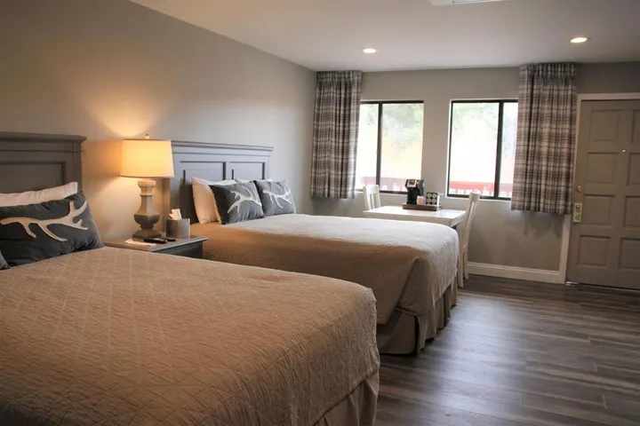 Lodge for 2 people, with pool and terrace as well as hot tub, with pets - 1