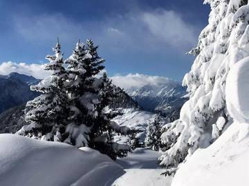 Lodge for 4 People in Riederalp, Western Alps, Photo 1