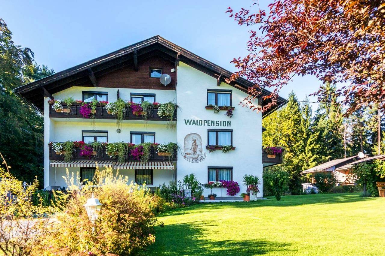Waldpension Schiefling am See in Schiefling am See, Klagenfurt-Land
