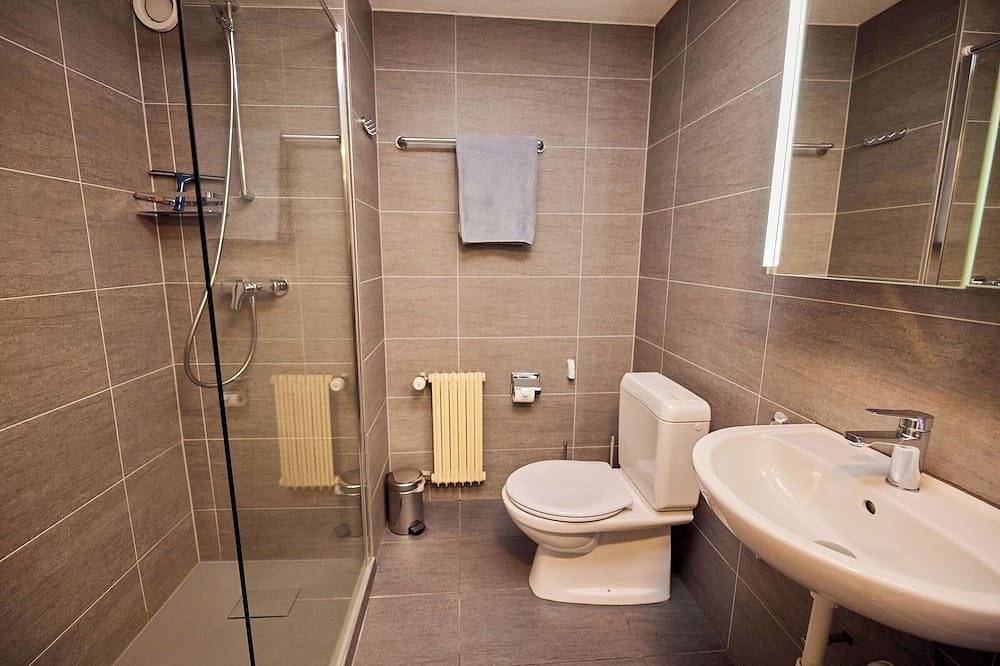 Geheel appartement, Nice apartment for rent in les Collons in Les Masses, Vex