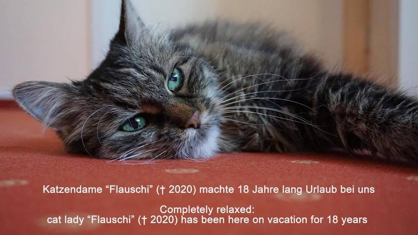 Maison d’hôte pour 4 personnes, avec vue et terrasse ainsi que vue sur le lac et jardin à Meersburg - 3