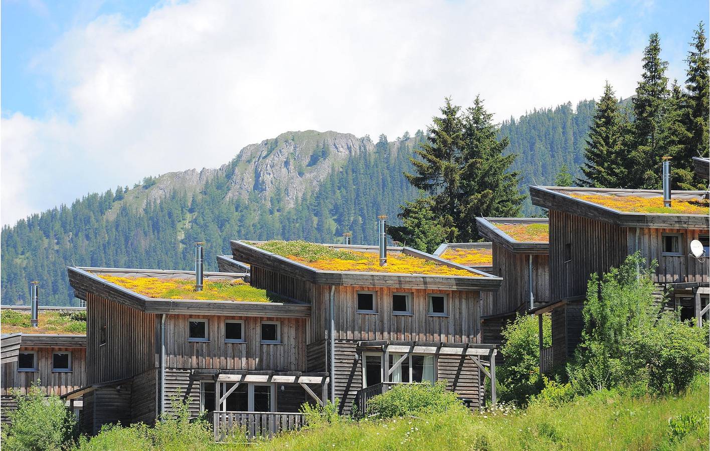 Gemütliche 80 m² große Wohnung in der Nähe des Skilifts und des Flusses, mit Garten und Parkplatz in Rottenmanner und Wölzer Tauern, Hohentauern