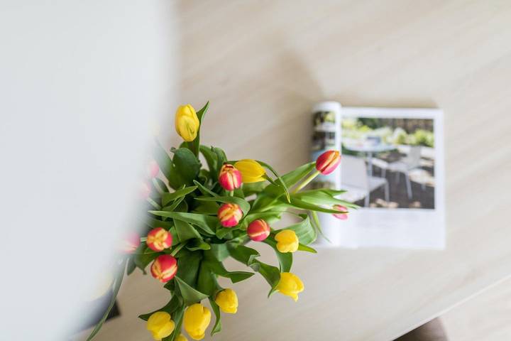 Apartamento entero, Inseljuwel - Jade in Norderney