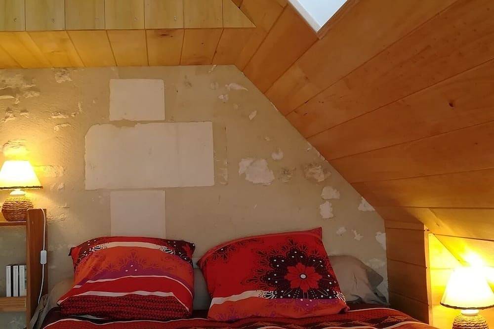 Loft 3 * partly troglo, downtown, parking, garden, superb view, 4/5 pers in Amboise, Tours region