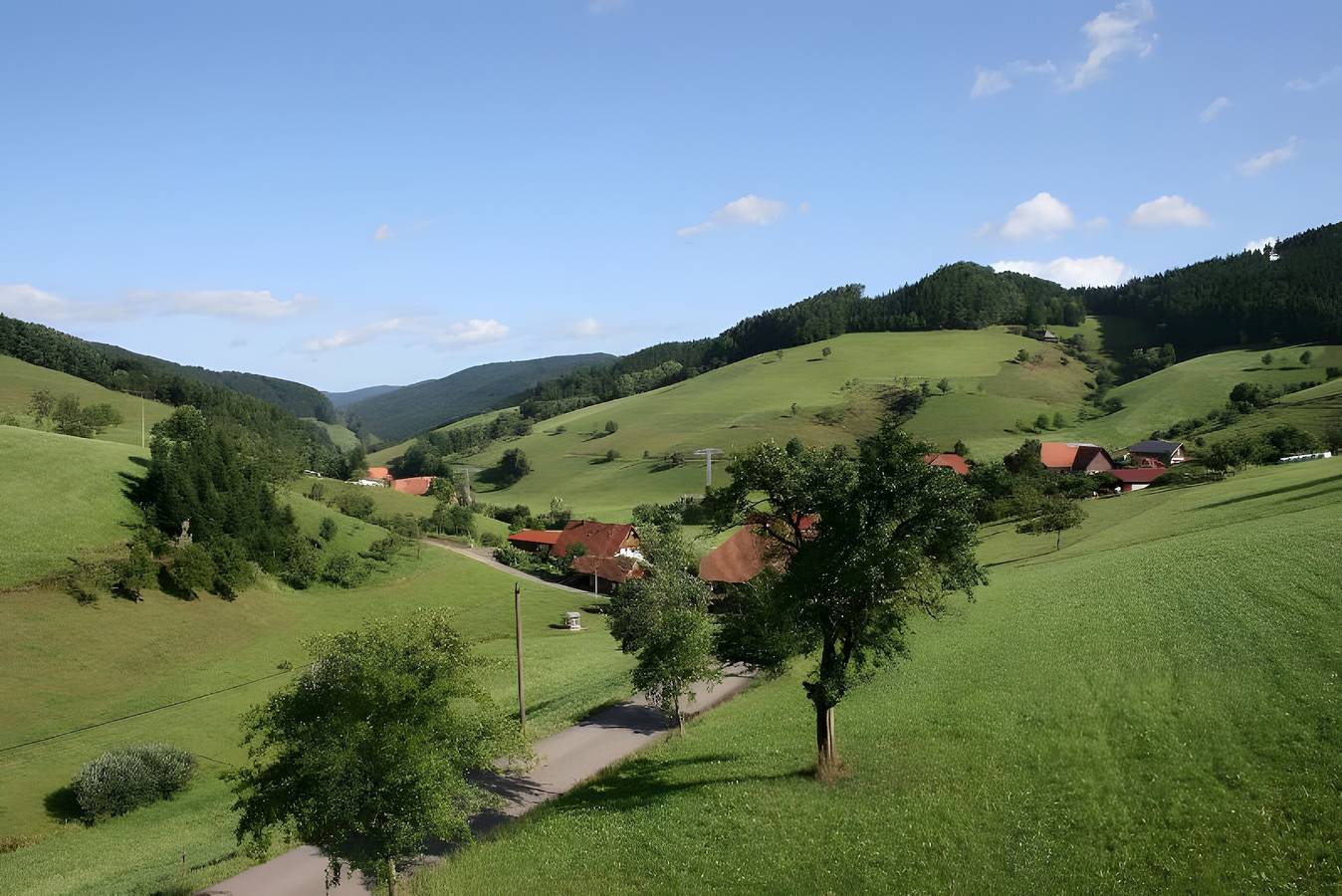 Ganze Wohnung, Ferienwohnung 'Talblick' mit privatem Balkon in Mühlenbach, Mittlerer Schwarzwald