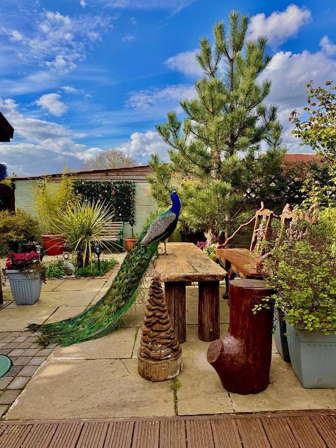 Double Room with Garden View in York, Yorkshire