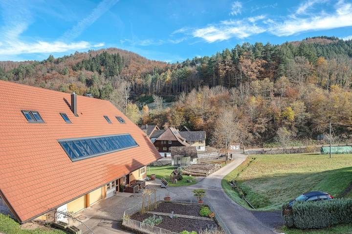 Ferienwohnung für 5 Personen, mit Garten in Wolfach - 3