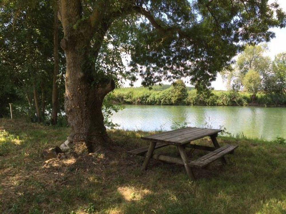 Glycine in Coulonges, Charente