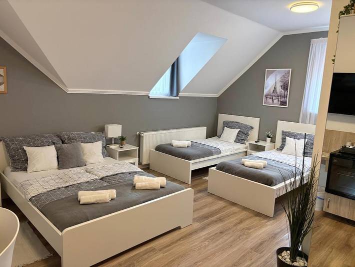 Chambre d’hôte pour 2 personnes, avec jardin à Vecsés - 4