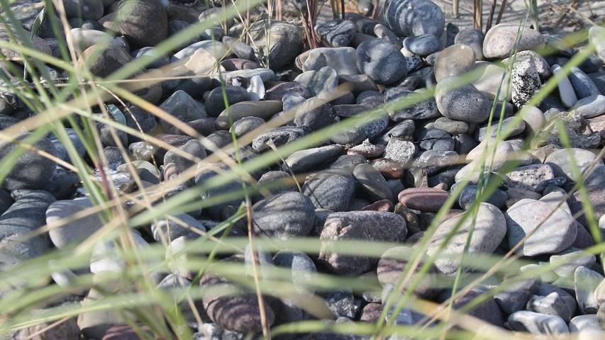 Ferienhaus für 5 Personen, mit Garten in Bad Doberan - 4