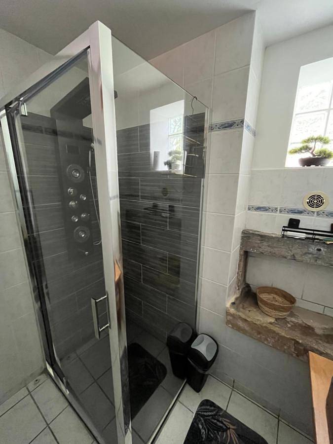 Gîte pour 5 personnes, avec terrasse, animaux acceptés à Capdenac - 4