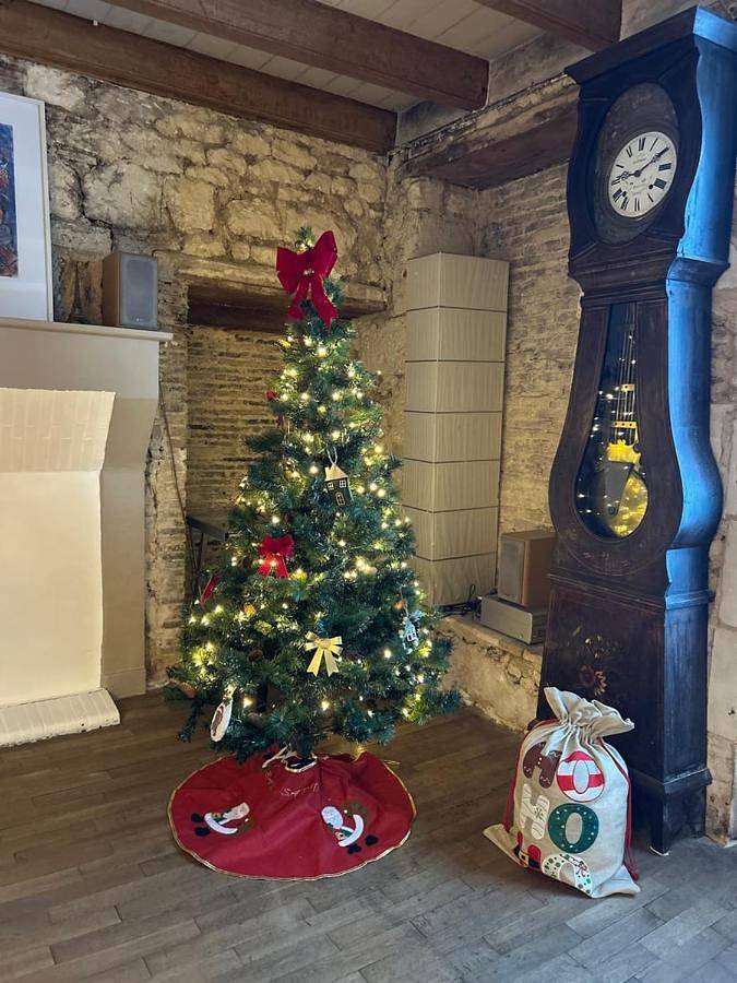 Location de vacances pour 11 personnes, avec jardin et terrasse à Montamisé - 2