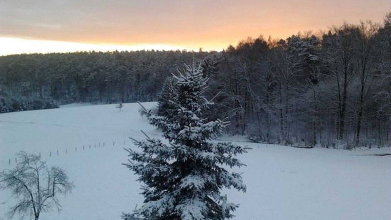 Bauernhof für 4 Personen in Lützelbach, Main-Odenwald