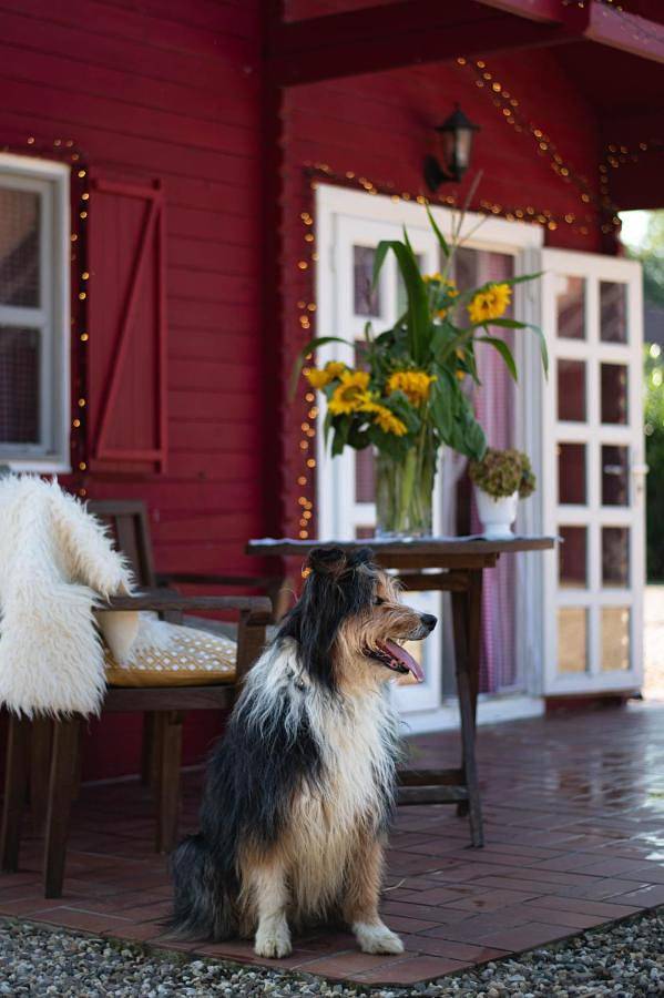 Vakantiehuis voor 2 personen, met terras en tuin in Xanten