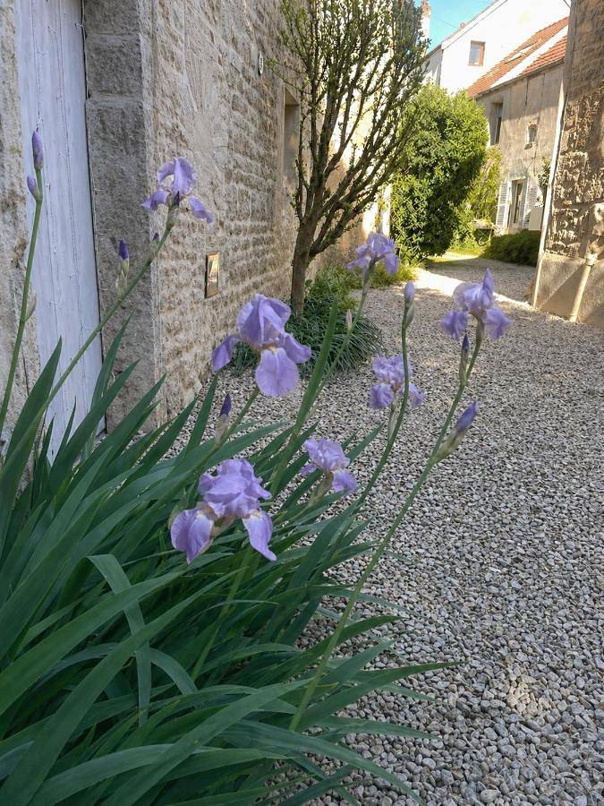 Le petit chez soi - my sweet home in Gevrey-Chambertin in Gevrey-Chambertin, Région de Dijon