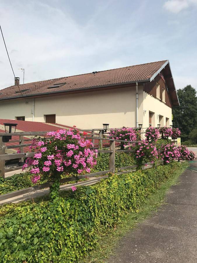 Hôtel pour 3 personnes, avec jardin et terrasse, animaux acceptés à Tendon (Vosges) - 3