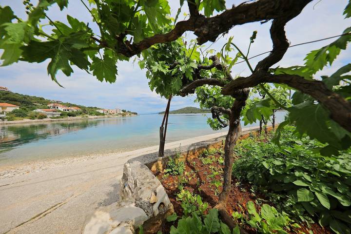 Ganze Wohnung, Knež Island Paradise -N1 in Zadar (Kommun), Iz