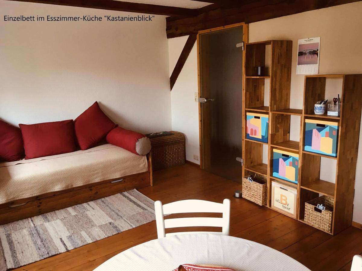 Ganze Wohnung, Apartment in Ziethen, Vorpommern Greifswald