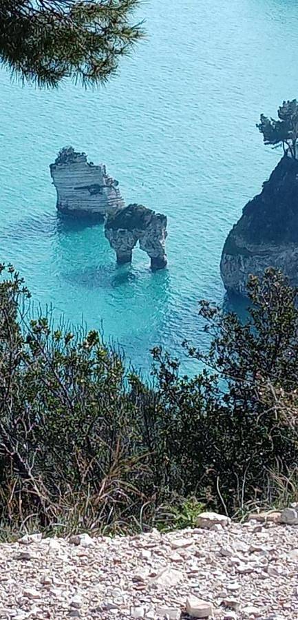 B&B Il Faraglione Bianco in Vieste, Gargano