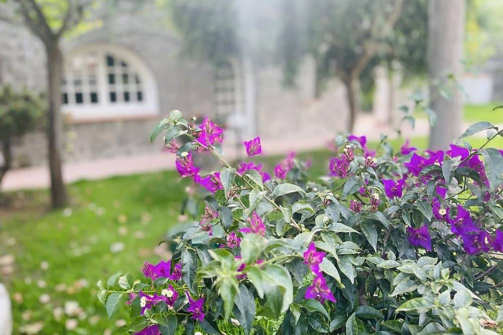 Villa for 6 People in Ischia City, Ischia
