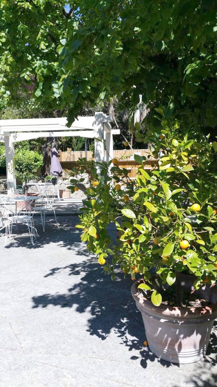 Maison de vacances pour 2 personnes, avec terrasse et piscine en Provence-Alpes-Côte d'Azur - 4