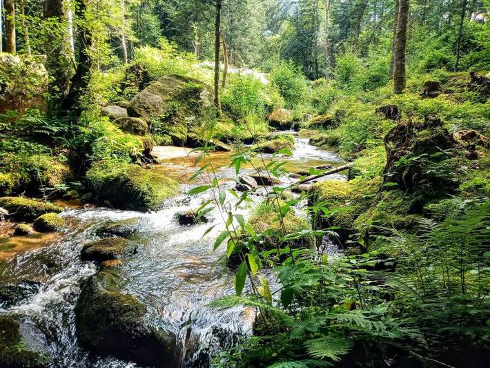 Location de vacances pour 4 personnes, avec sauna ainsi que vue et jardin, animaux acceptés à Vollore-Montagne - 3