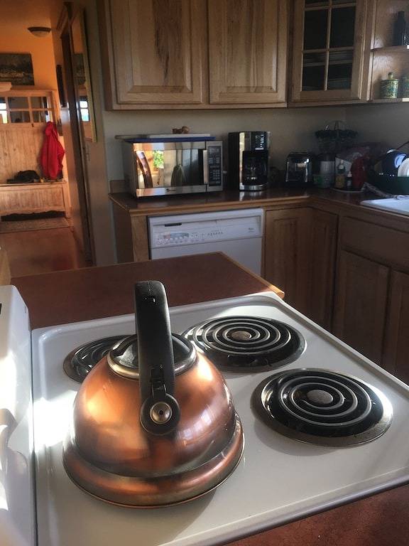 Ganze Wohnung, Whirlpool Suite Ocean View Homer Alaska Cafe / Buchhandlung / Strand in Homer, Kenai Peninsula