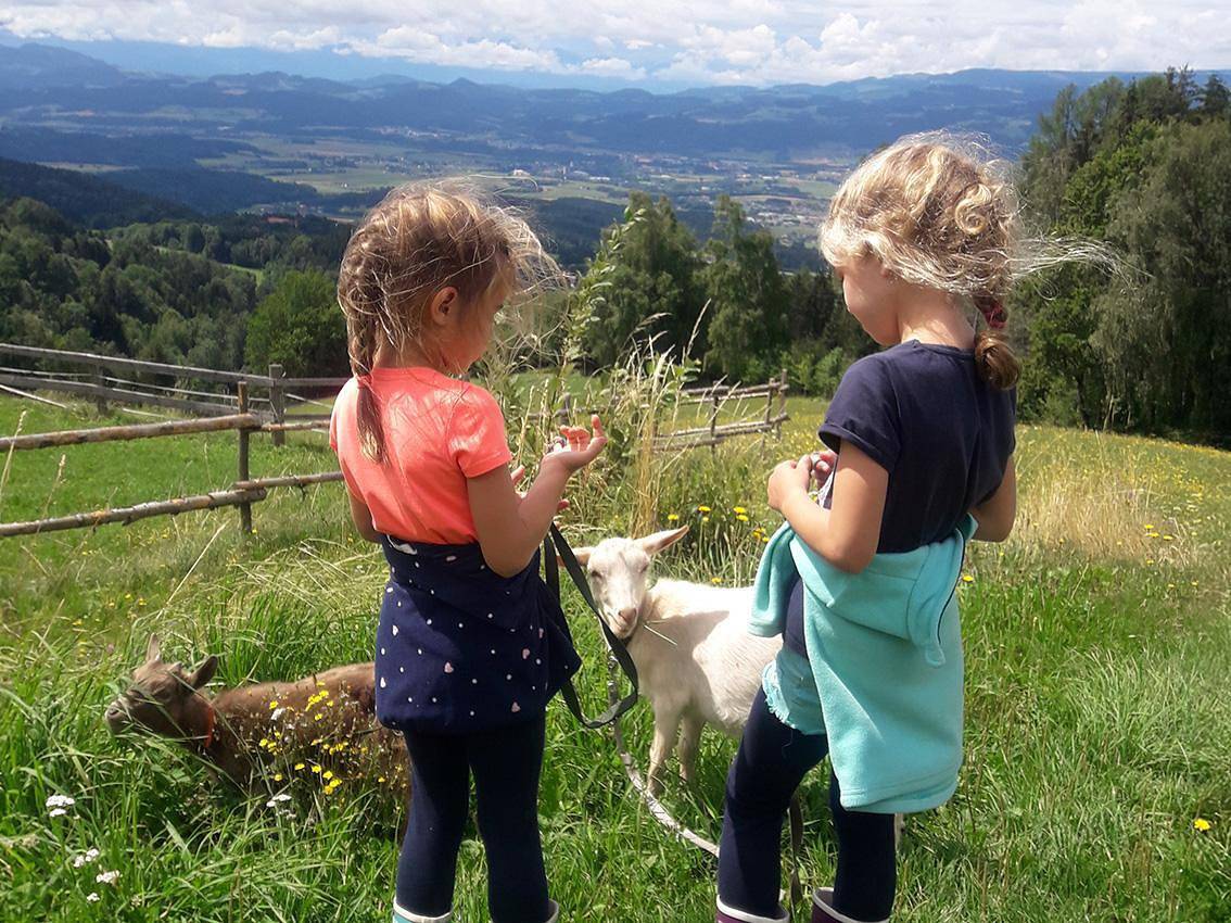 Ganze Ferienwohnung, Bauerngarten in Wolfsberg, Lavanttaler Alpen