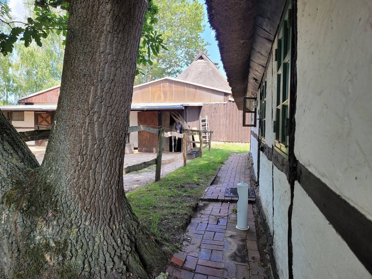Ferienhof Schwalbennest Ofc 24 - Fewo Neubukow mit Galerie, max.4 Pers. + Haustier erlaubt in Biendorf, Neubukow-Salzhaff