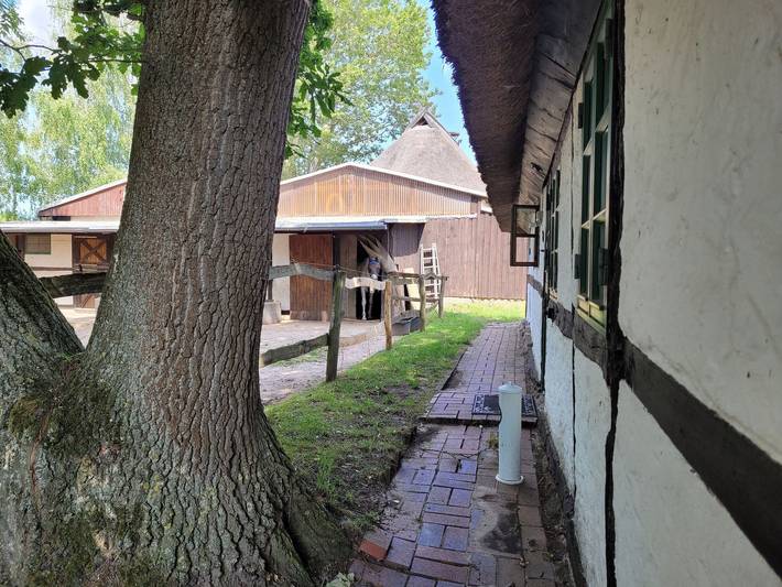 Ferienhaus für 4 Personen, mit Terrasse und Garten in Biendorf - 2