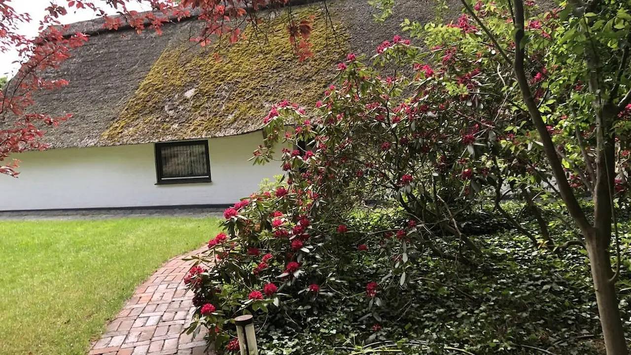 Ferienhaus für 4 Personen (75 m²) in Grasberg in Grasberg, Niedersachsen