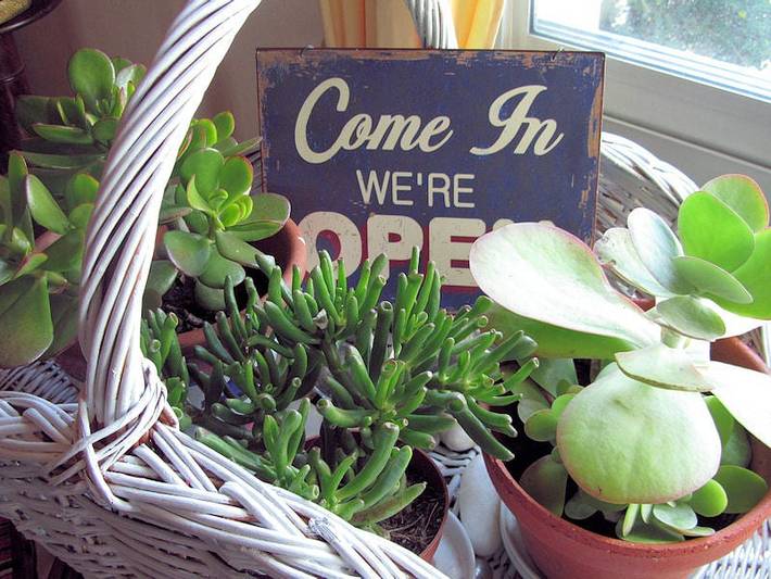 Chambre d’hôte pour 3 personnes, avec jardin dans les Pays de la Loire - 2