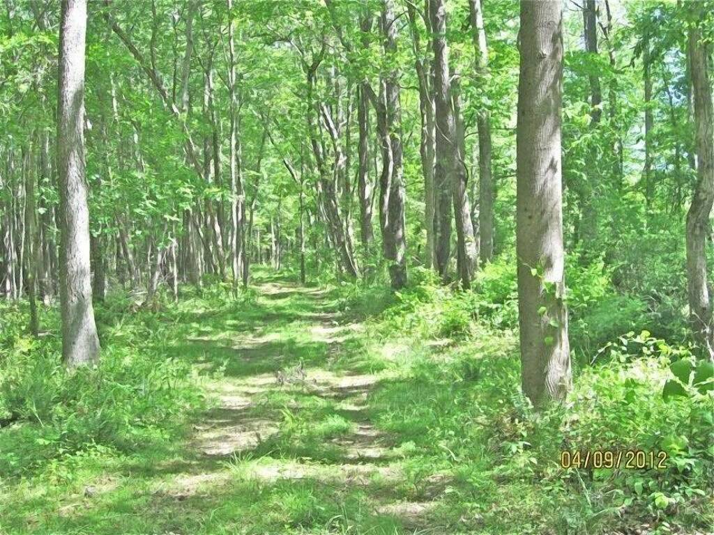 Cabin # 2, Kentucky Lake, Bassfischen, Camden, Tn, (Nashville 1, Memphis 1. 5) in Kentucky Lake