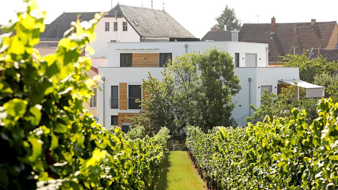 Ganze Ferienwohnung, Ferienwohnung für 2 Personen (62 m²) in Edenkoben in Edenkoben, Südliche Weinstraße