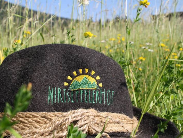 Ferienwohnung für 4 Personen, mit Garten und Balkon, kinderfreundlich in Innsbruck und Umgebung - 2