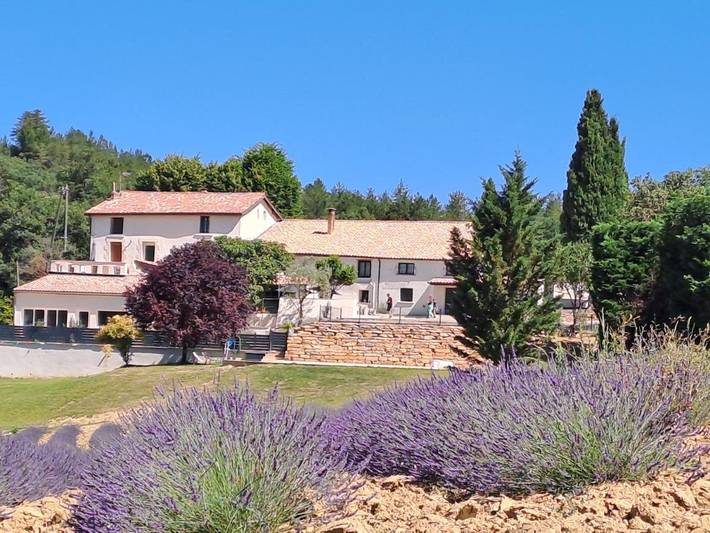 Gîte pour 2 personnes, avec jardin et piscine, animaux acceptés à Mézel - 4