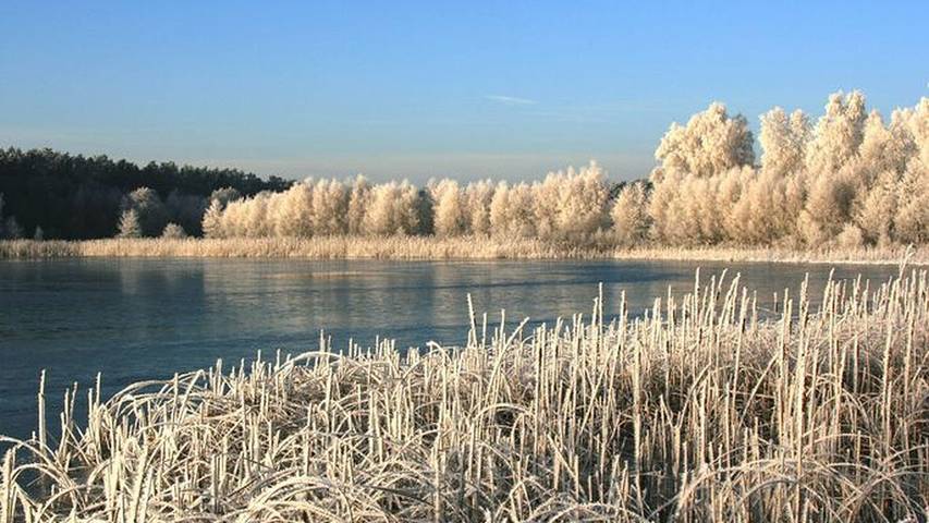 Ferienwohnung für 2 Personen, mit Sauna und Garten in Alt Schwerin - 2