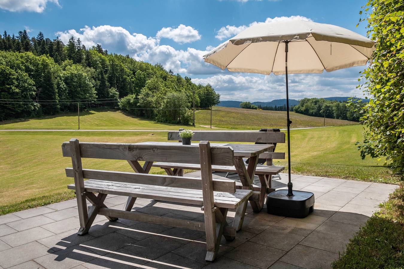 Ganze Wohnung, Apartment 'Fuchsbau' mit Bergblick, privater Terrasse und Wlan in Wolfach, Kinzigtal
